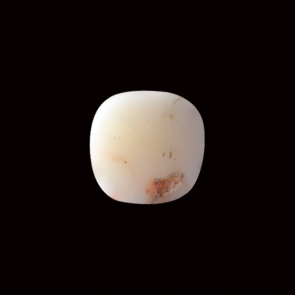 White Coral - 7.60 carats